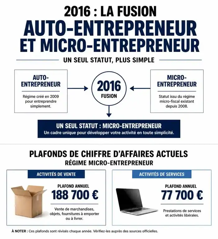Infographie comparative micro entrepreneur ou auto entrepreneur et seuils de chiffre d'affaires